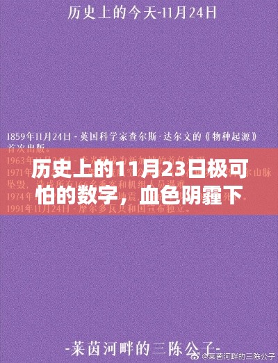 历史上的11月23日，血色阴霾下的数字揭秘