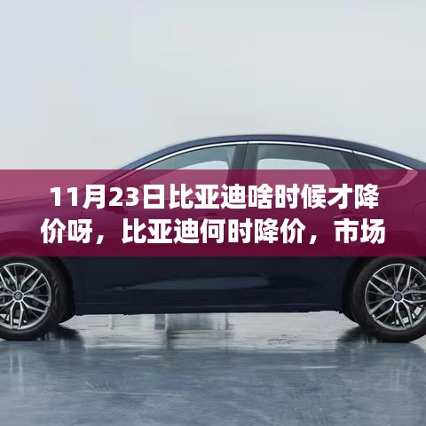 第2127页