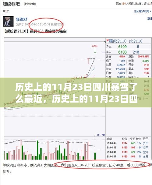 案例见证 第371页