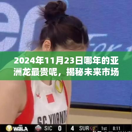 揭秘，亚洲龙车型在特定日期的市场价值巅峰与未来市场趋势探讨（2024年11月23日）