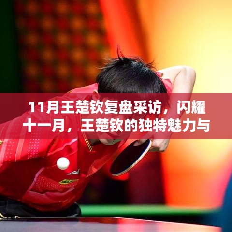 闪耀十一月，王楚钦的独特魅力与不屈精神——专访复盘