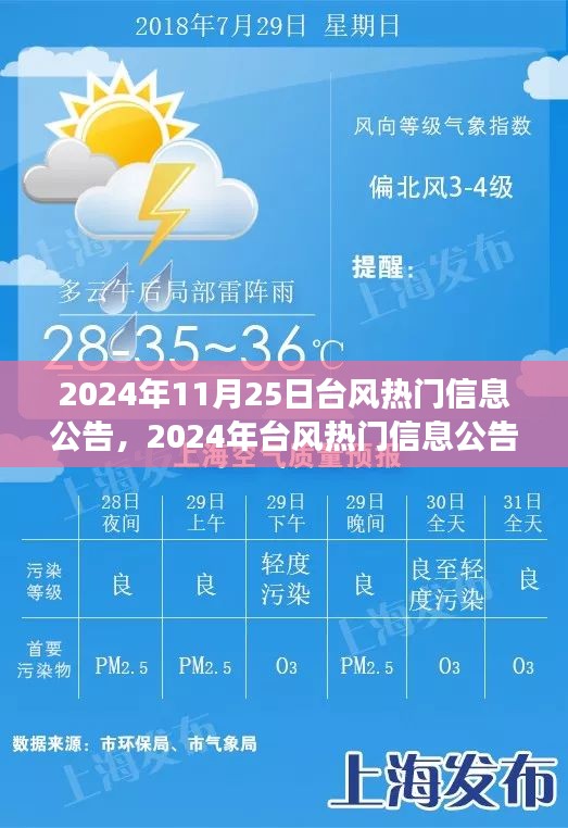 深度解析台风风云变幻，2024年台风热门信息公告一览