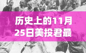 历史上的11月25日，美投君的温馨日常与友情纽带揭秘