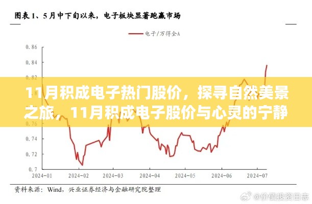 案例见证 第366页