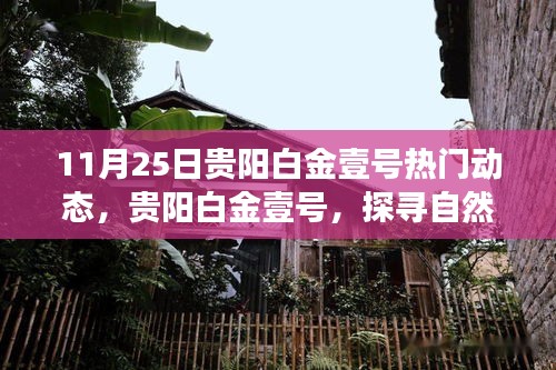 夫荣妻贵 第4页