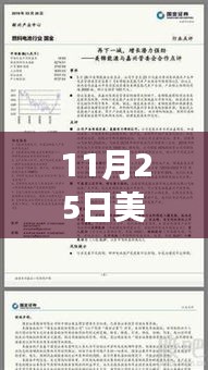 美锦能源最新公告解析，观点之争与个人立场聚焦探讨