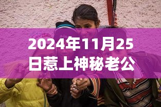 2024年11月25日惹上神秘老公热门章节，神秘老公的自然探秘，一场远离尘嚣的心灵之旅