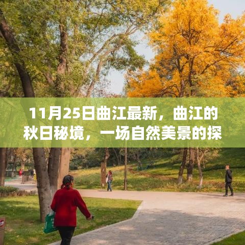 雍容华贵 第3页