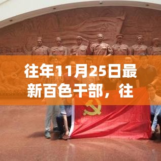 往年11月25日最新百色干部概览，特性解读与目标用户群体分析