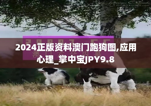 联系我们 第370页