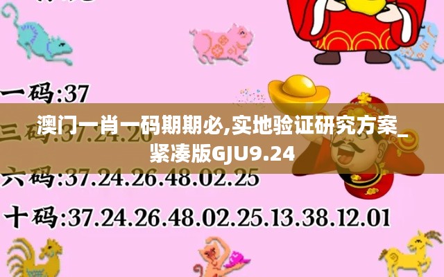 澳门一肖一码期期必,实地验证研究方案_紧凑版GJU9.24