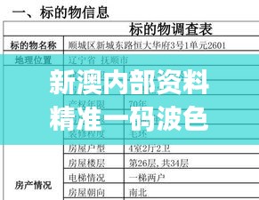 新澳内部资料精准一码波色表,担保计划执行法策略_交互版XSO9.71