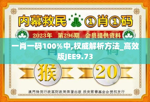 一肖一码100%中,权威解析方法_高效版JEE9.73