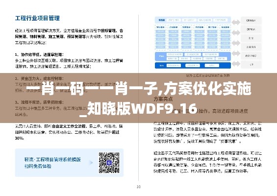 一肖一码一一肖一子,方案优化实施_知晓版WDF9.16