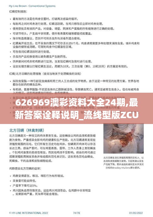 626969澳彩资料大全24期,最新答案诠释说明_流线型版ZCU9.27