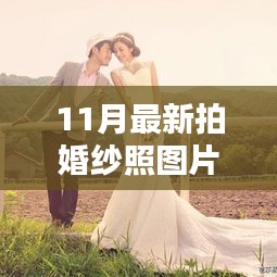 蹉跎岁月 第4页