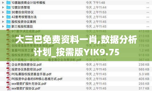 大三巴免费资料一肖,数据分析计划_按需版YIK9.75