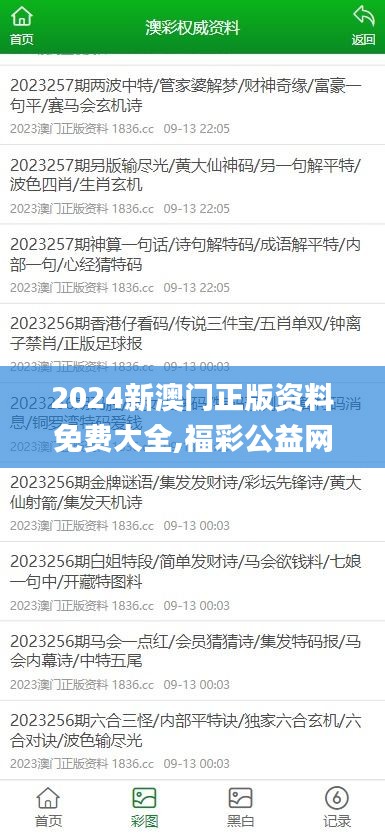 2024新澳门正版资料免费大全,福彩公益网,实证数据分析_活动版ZYD9.8