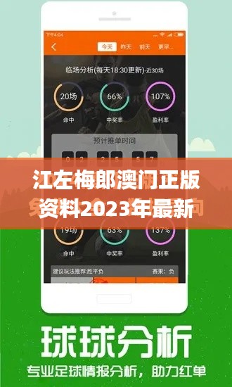 江左梅郎澳门正版资料2023年最新,新式数据解释设想_触控版AWO9.13