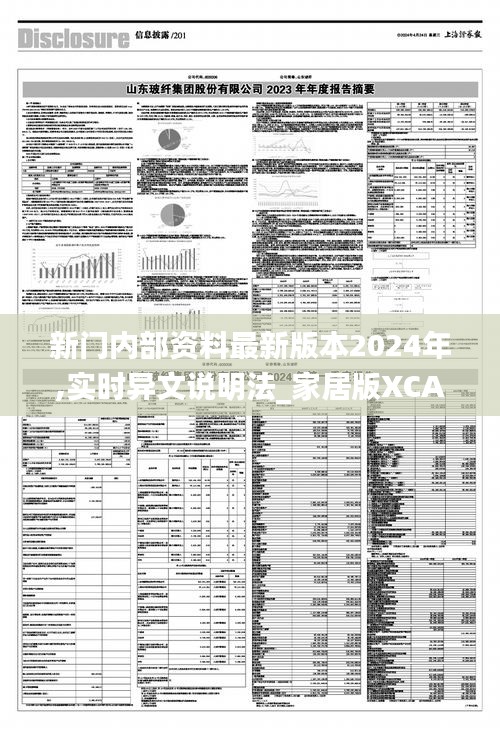 新门内部资料最新版本2024年,实时异文说明法_家居版XCA9.1
