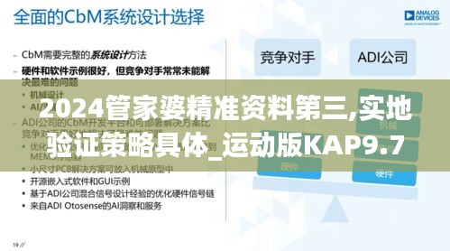 2024管家婆精准资料第三,实地验证策略具体_运动版KAP9.79