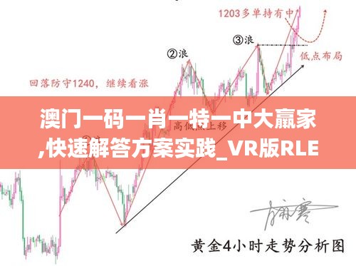 澳门一码一肖一特一中大羸家,快速解答方案实践_VR版RLE9.27
