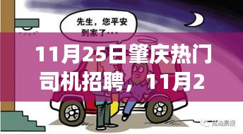 11月25日肇庆热门司机招聘，驾驭未来，启程自信之旅
