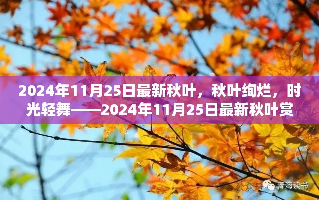 风流潇洒 第4页