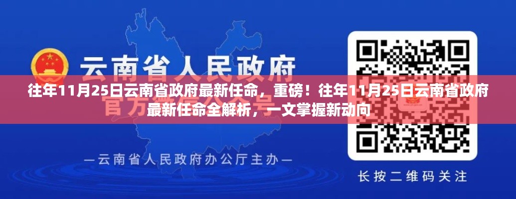重磅揭秘！云南省政府最新任命解析及动向概览