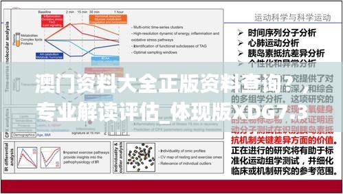 澳门资料大全正版资料查询？,专业解读评估_体现版XDG7.34