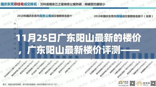 广东阳山最新楼价深度评测，11月25日房地产市场新动态分析
