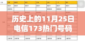 历史上的11月25日电信173热门号码段，多方观点与个人立场解析