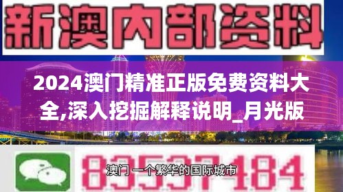 2024澳门精准正版免费资料大全,深入挖掘解释说明_月光版PWY7.51