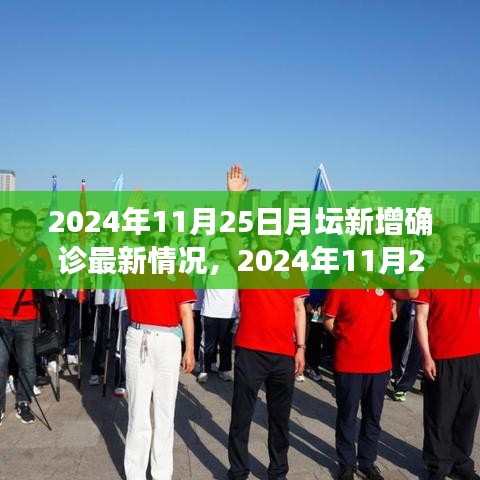 不飞则已 第4页