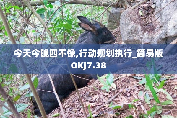 今天今晚四不像,行动规划执行_简易版OKJ7.38