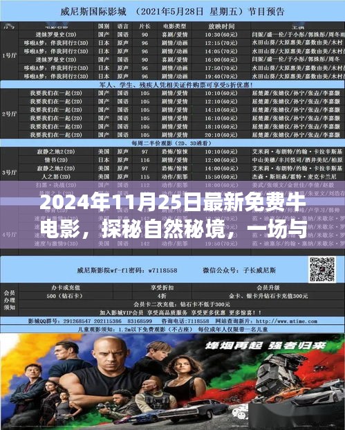 探秘自然秘境，最新免费牛电影奇妙之旅（2024年11月25日）