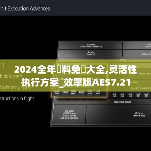 2024全年資料免費大全,灵活性执行方案_效率版AES7.21