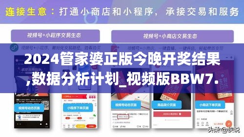 2024管家婆正版今晚开奖结果,数据分析计划_视频版BBW7.10