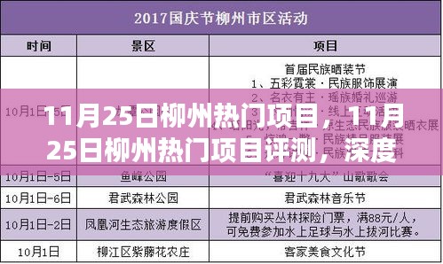 11月25日柳州热门项目深度评测，产品特性与用户体验一览