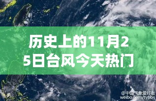 鸟革翬飞 第3页