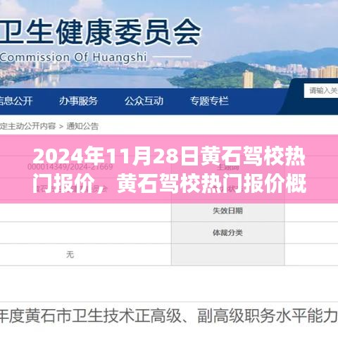 黄石驾校热门报价概览，行业洞察与最新报价（2024年11月28日）