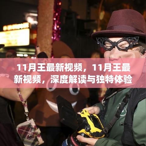 深度解读与独特体验分享，11月王最新视频独家解析