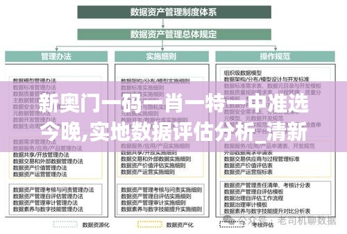 新奥门一码一肖一特一中准选今晚,实地数据评估分析_清新版SBH4.56