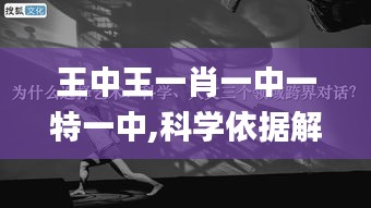 王中王一肖一中一特一中,科学依据解析_桌面款HDT8.4