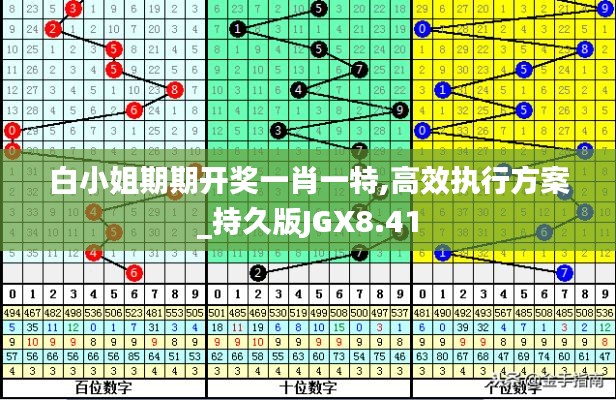 白小姐期期开奖一肖一特,高效执行方案_持久版JGX8.41