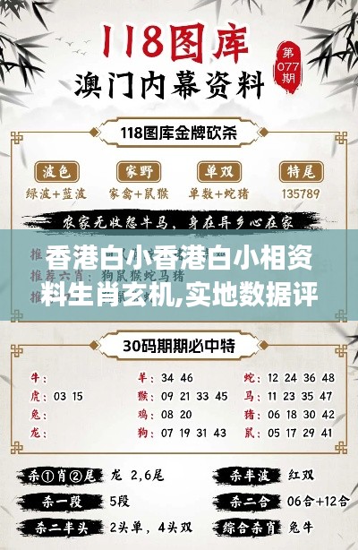 香港白小香港白小相资料生肖玄机,实地数据评估分析_沉浸版LHU4.85