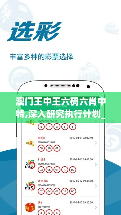 澳门王中王六码六肖中特,深入研究执行计划_目击版UQS8.1