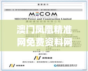 澳门凤凰精准网免费资料网,统计材料解释设想_悬浮版NZH8.12
