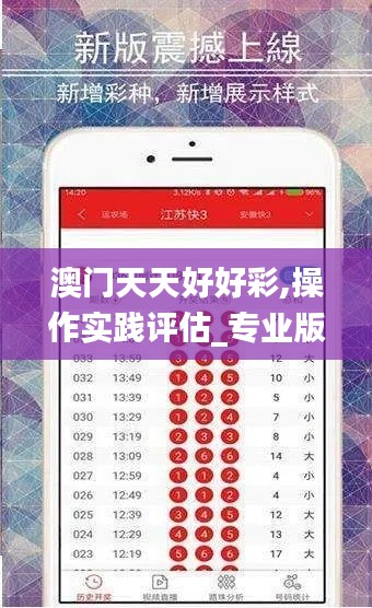 澳门天天好好彩,操作实践评估_专业版FND4.40