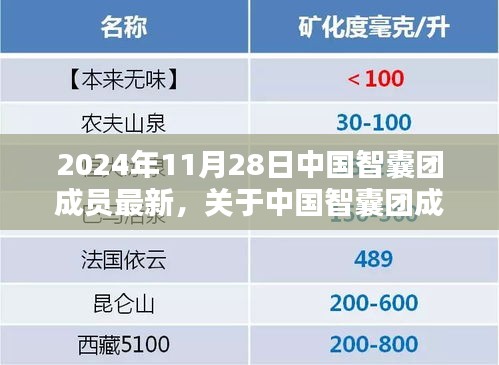 中国智囊团最新动态与小巷特色小店探访纪实